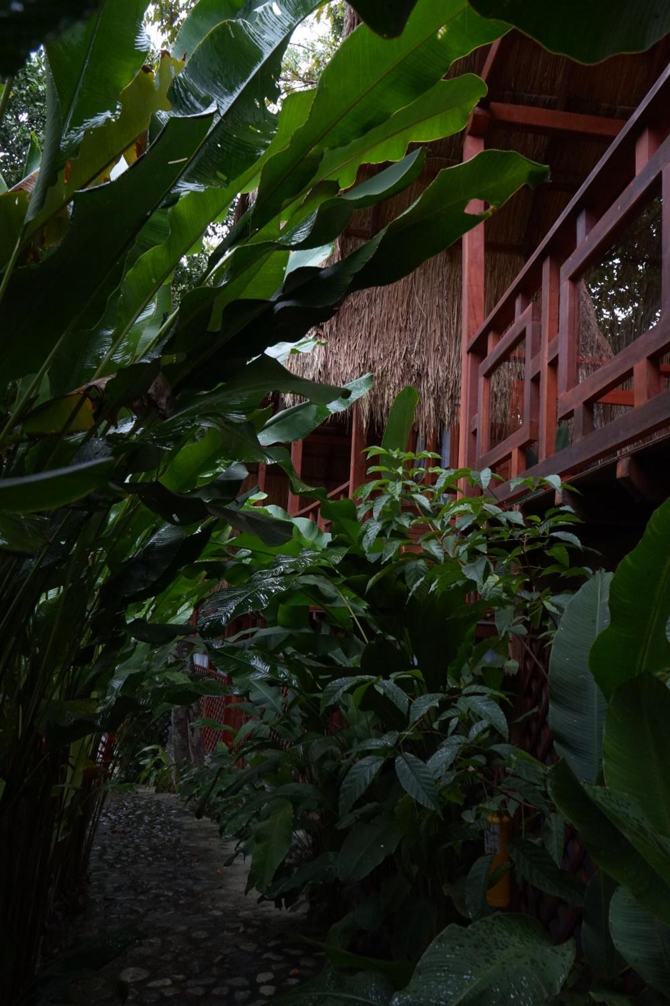 Bio Rio Hotel San Jerónimo Extérieur photo